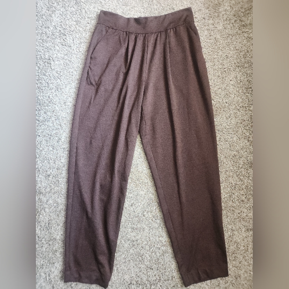 REI Cooperative Chocolate Brown Pants